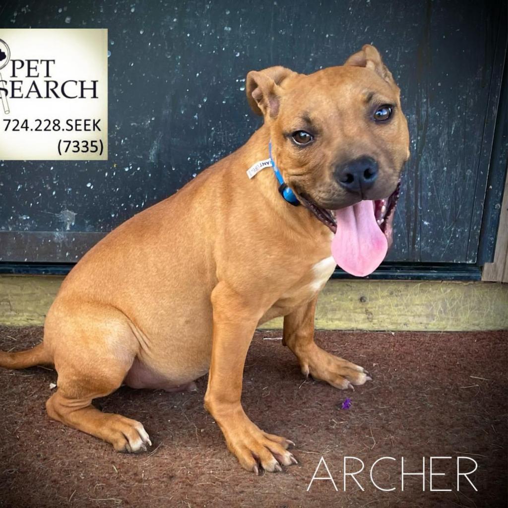 Archer