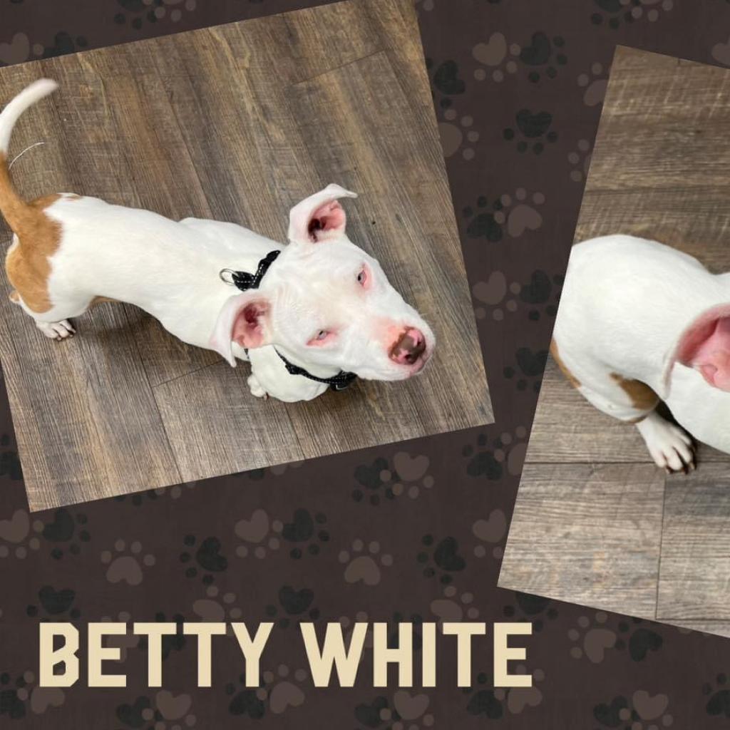 Betty White