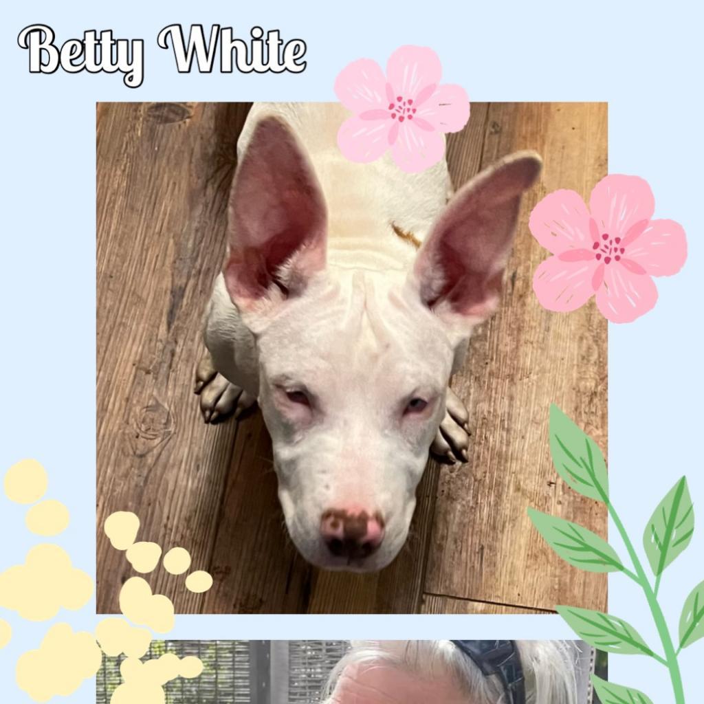 Betty White