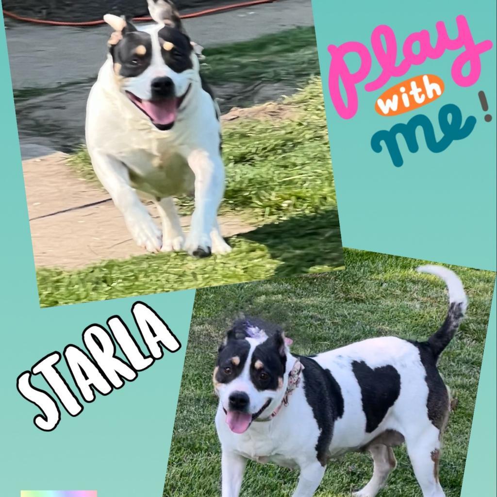 Starla