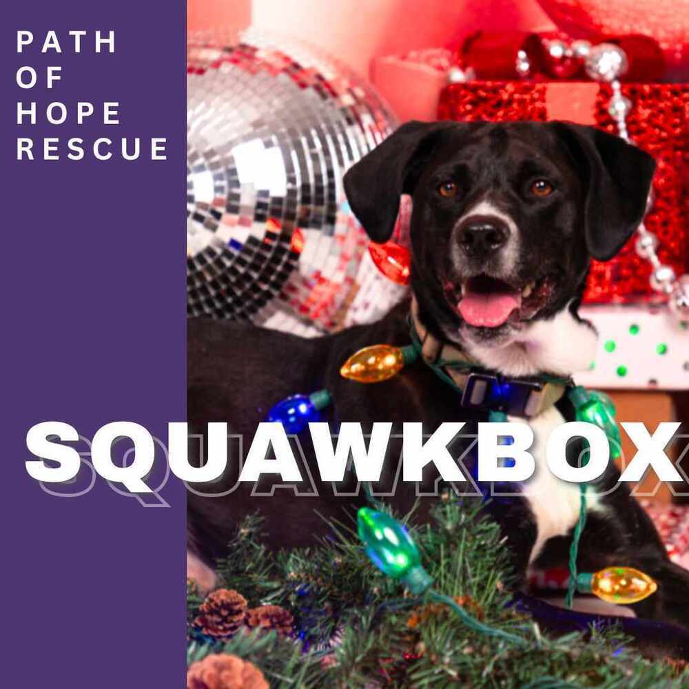 Squawkbox