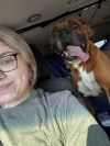 Rufus - ADOPTION PENDING!!! photo 3