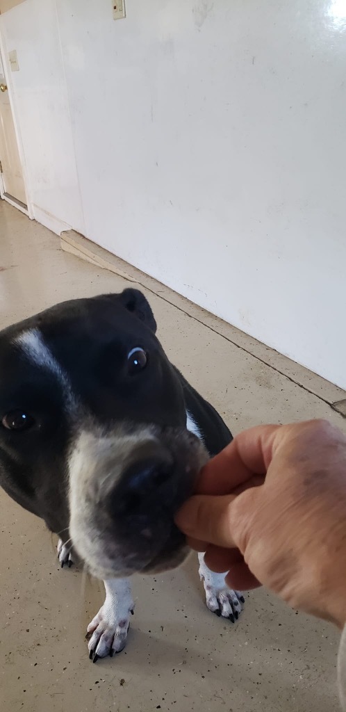 Jethro