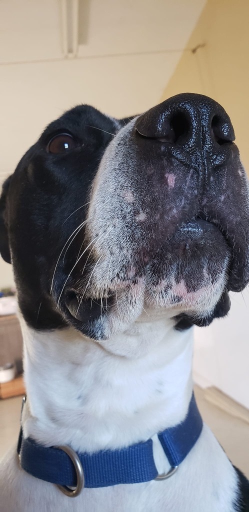 Jethro