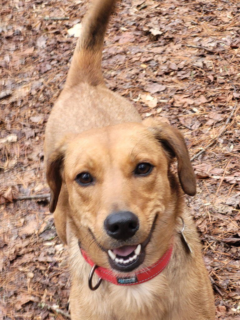 Kira