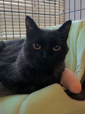 Jack, Senior Male unknown