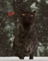 Jack photo 2