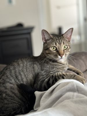 Simba Lloyd, Baby Male unknown