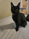Wyatt photo 1