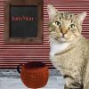 Kitty Man photo 5
