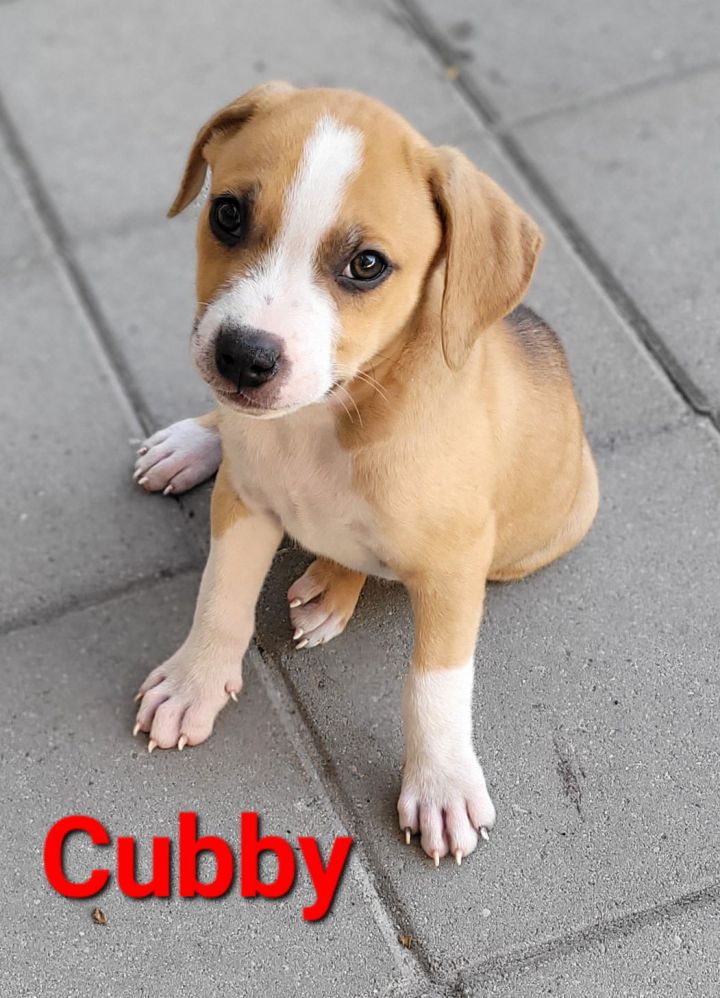 Cubby 3