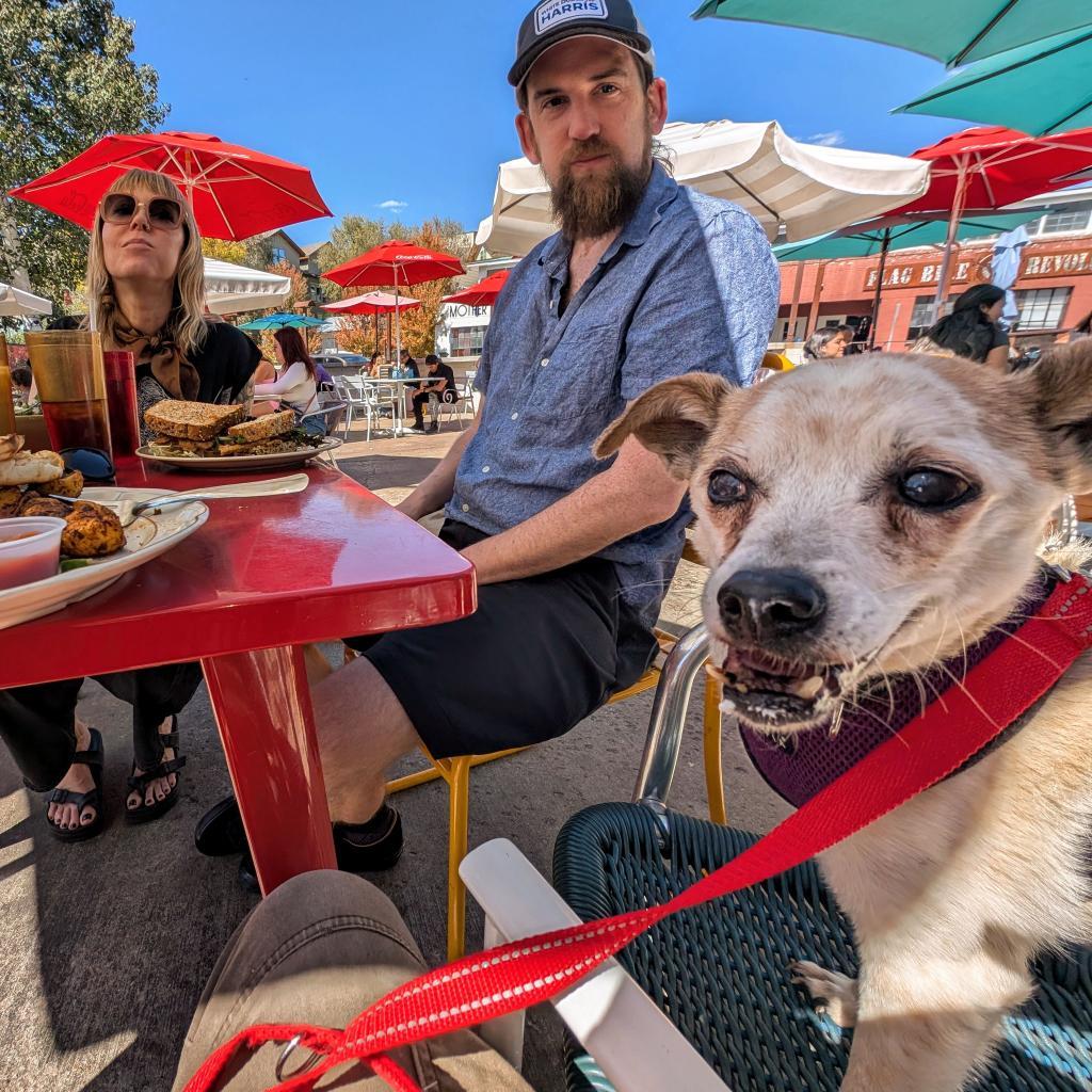 Margot - Sweet small senior who loves dogs and people! $0 ADOPTION SPECIAL!, an adoptable Chihuahua in Flagstaff, AZ, 86004 | Photo Image 4