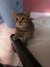 Zita (Sully Litter) photo 2