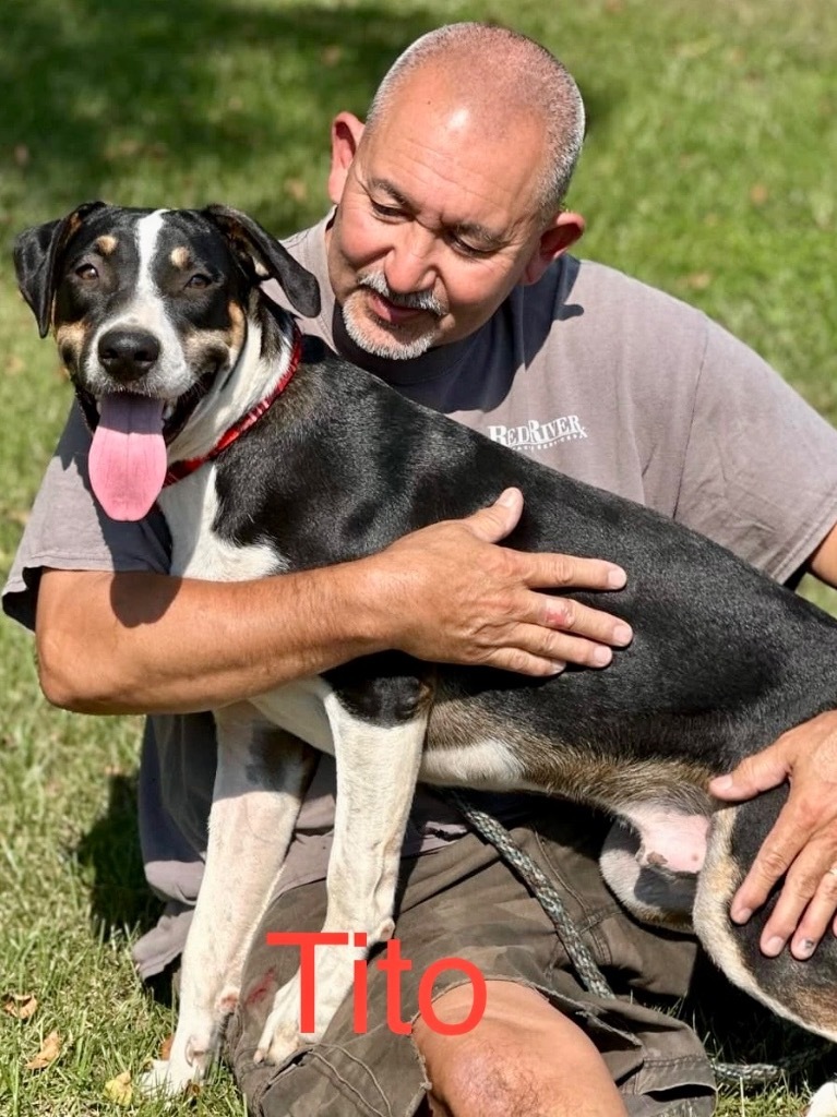 Tito
