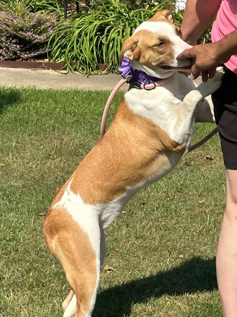 Gracie