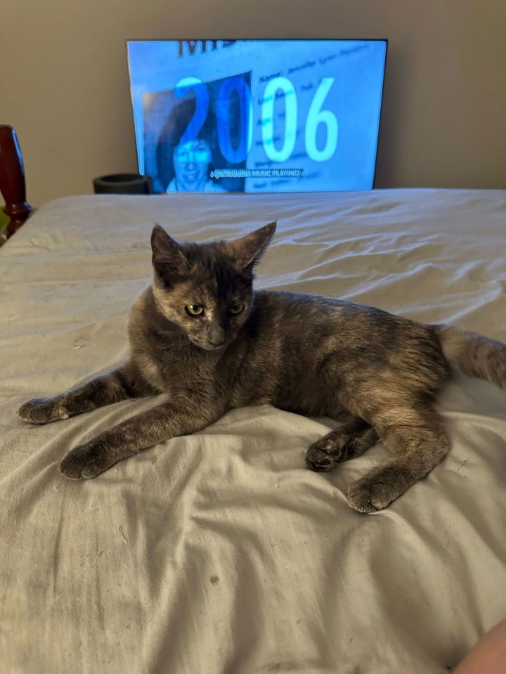 Sammi (Courtesy Post) 2