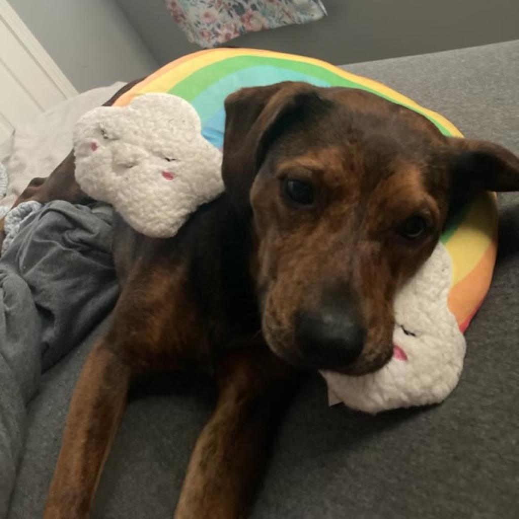 Peppa