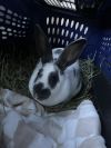 Valka photo 2