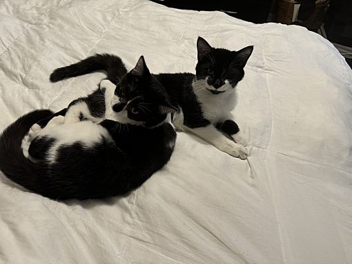 Perry bonded with Pippy