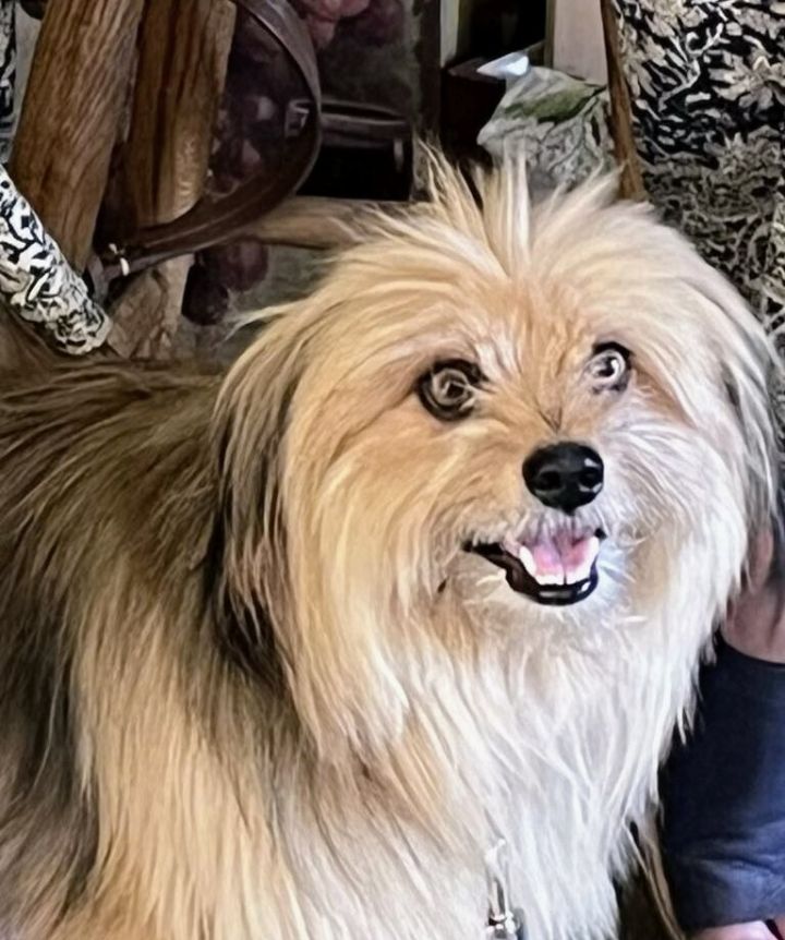 Teddy 1