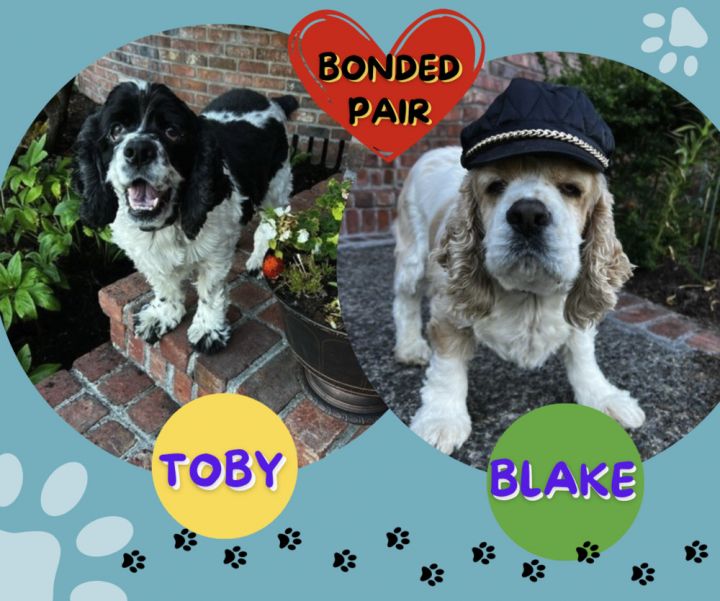Toby-WA State 1