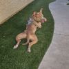 Eddie photo 2