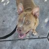 Eddie photo 3