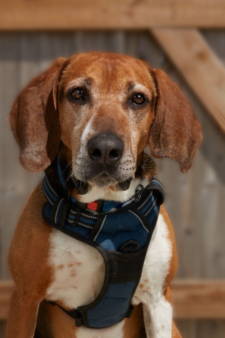 Jake 2