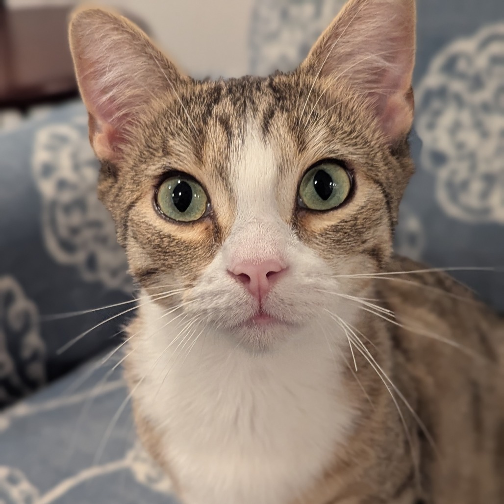 Max