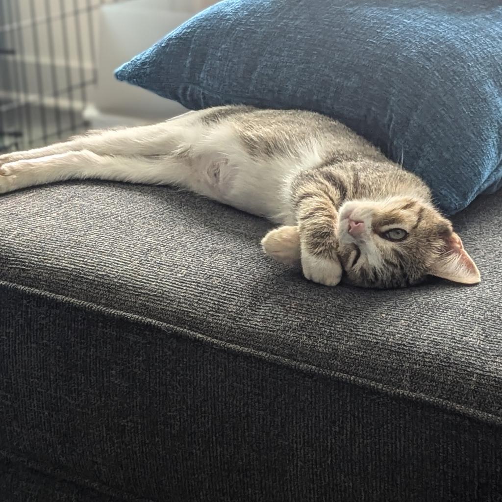 Max