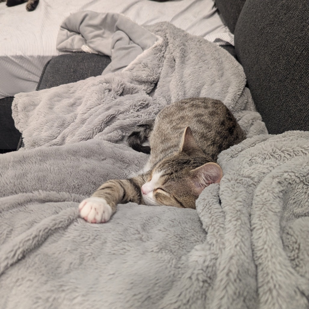 Max
