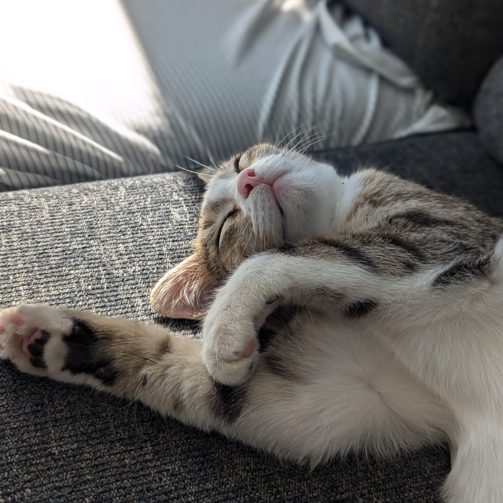 Max
