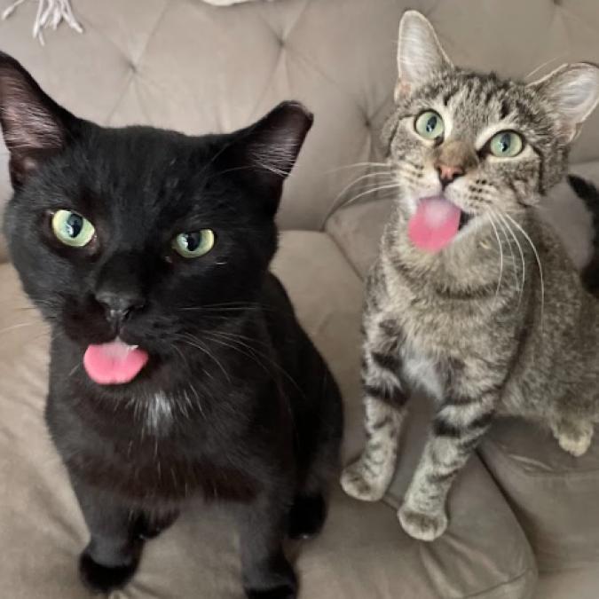 Millicent & Major - We're a bonded pair!