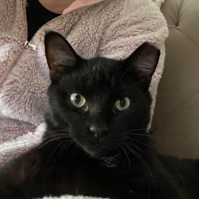 Millicent & Major - We're a bonded pair!