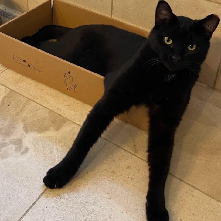 Millicent & Major - We're a bonded pair!