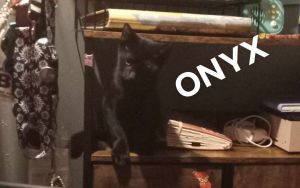 Onyx