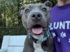 Queen Elinor photo 1