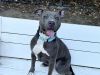 Queen Elinor photo 2