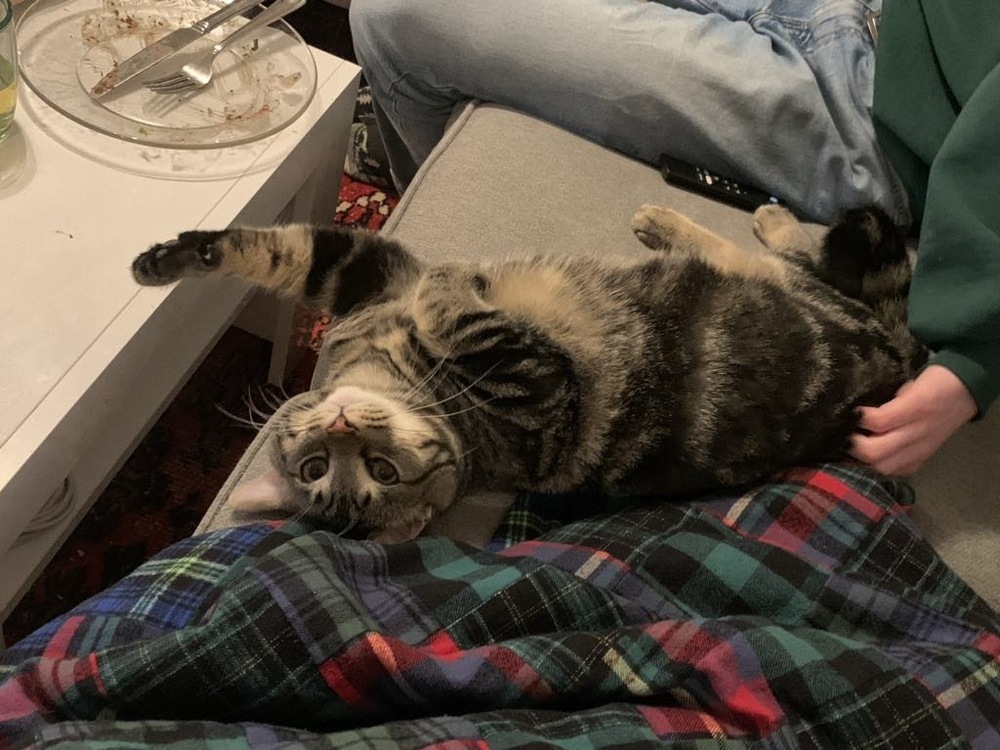 Moe