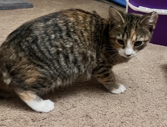 Daisy (aka Buddy)
