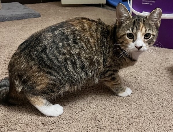 Daisy (aka Buddy)