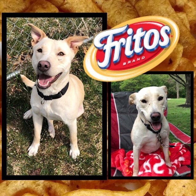 Fritos