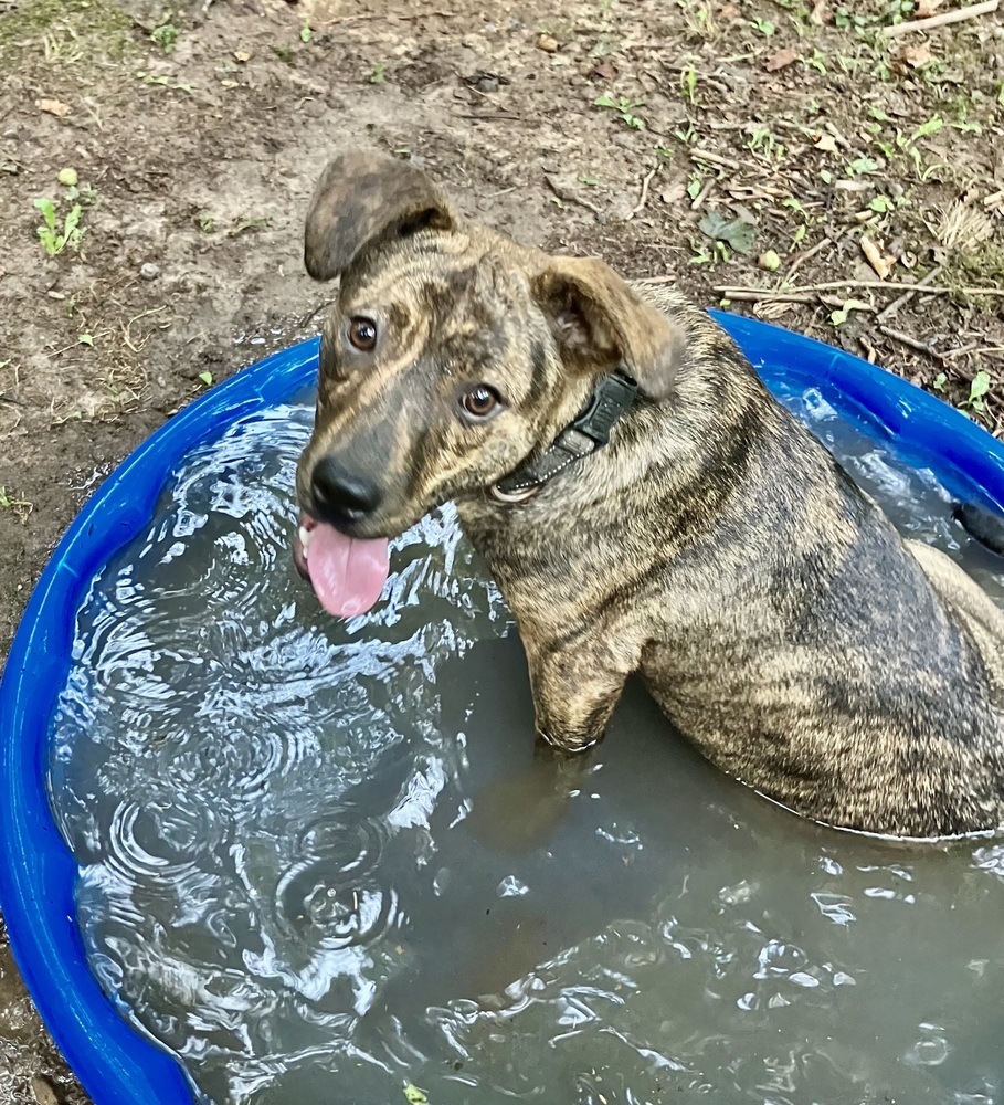 Caramel - GOOD GIRL & OBEDIENT!