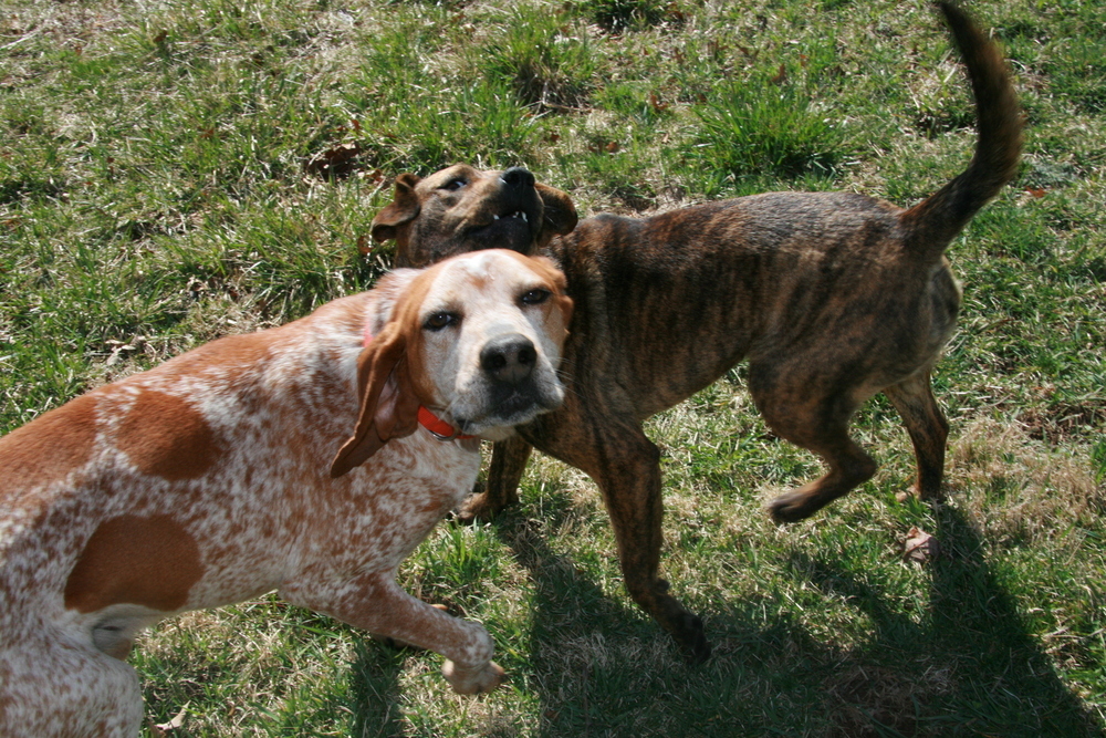 Caramel - GOOD GIRL & OBEDIENT!