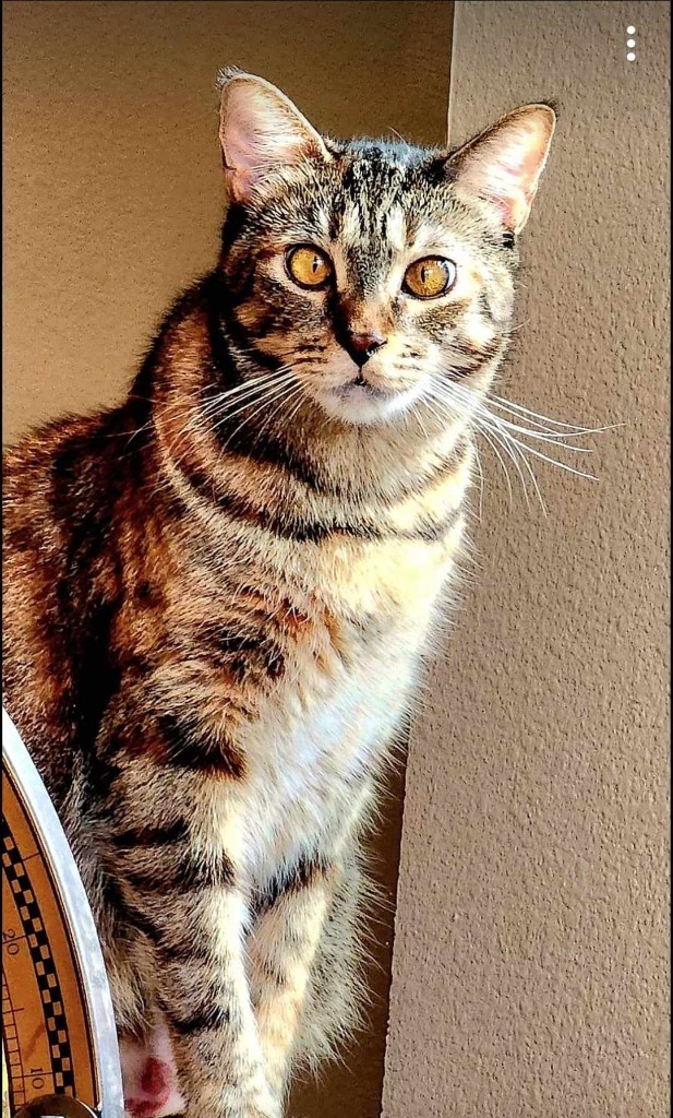 Helen