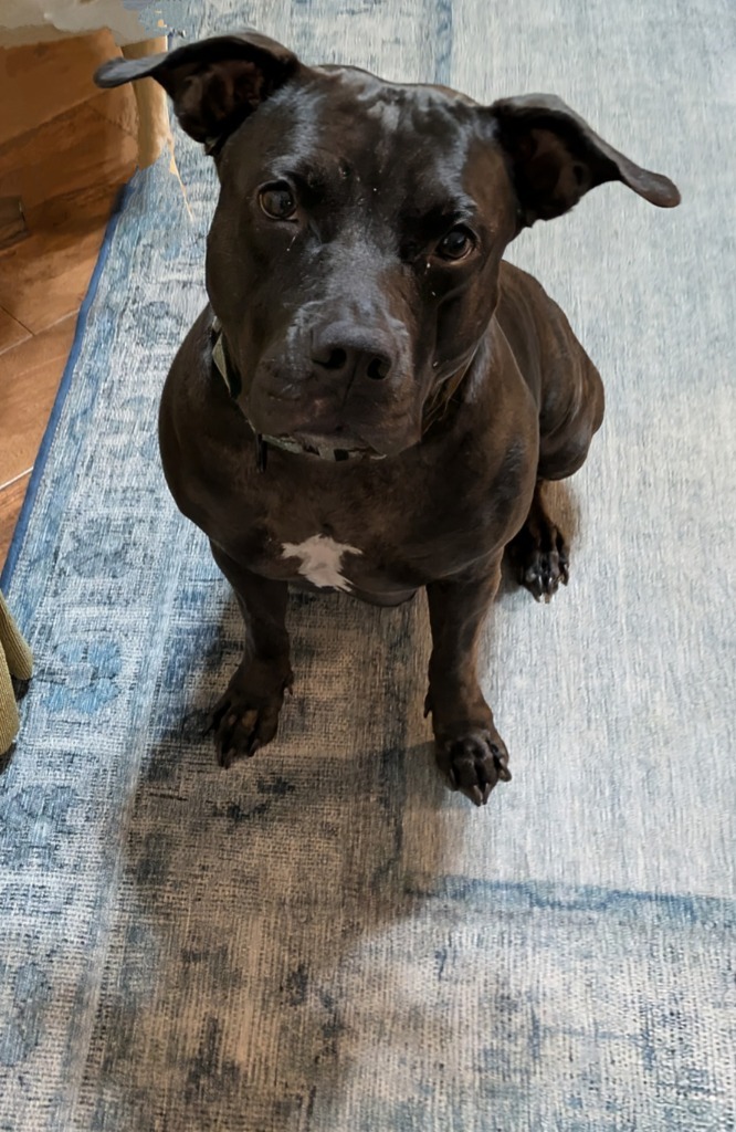 Delilah