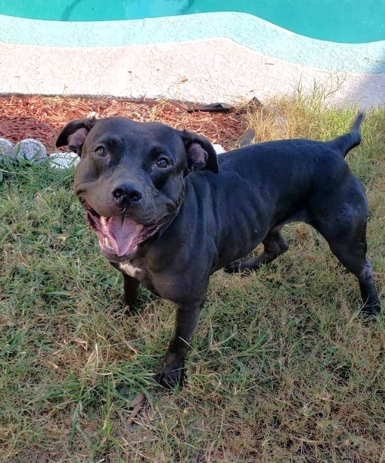 Delilah