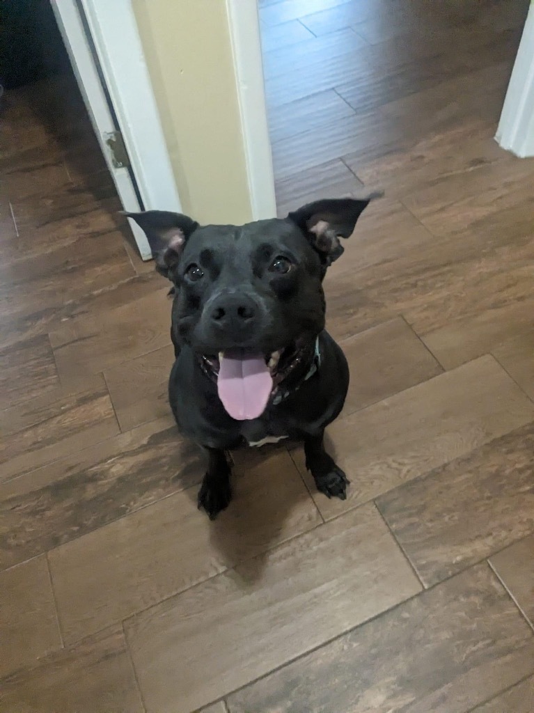 Delilah
