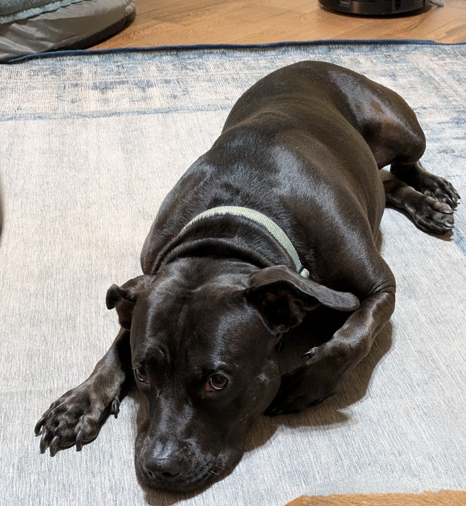 Delilah