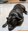 Delilah photo 5